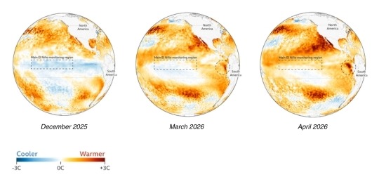 Three globe maps comparing Pacific Ocean sea surface temperature anomalies in December 2025, March 2026 and April 2026. The maps show the main El Niño monitoring region across the equatorial Pacific, with blue areas representing cooler-than-average temperatures and orange to red areas representing warmer-than-average temperatures. Between December 2025 and April 2026, warmer water becomes more prominent across parts of the central and eastern Pacific, indicating strengthening El Niño-like conditions. A temperature scale ranges from -3°C to +3°C